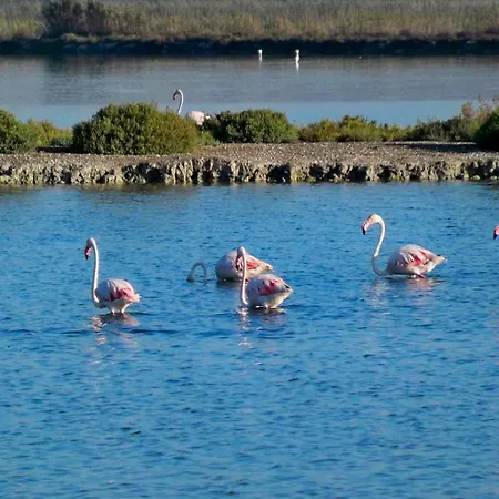 La Macarena Διαμέρισμα