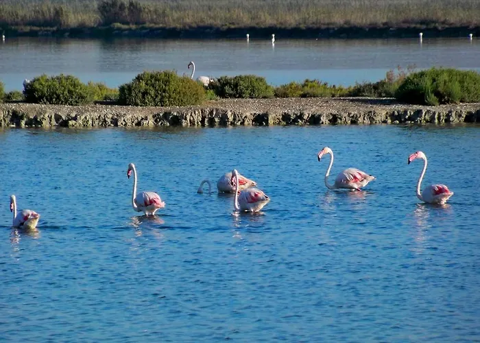 La Macarena Apartment